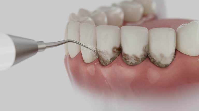 Reliable Dental contractor in Oak Harbor, OH by Dentist Open Now